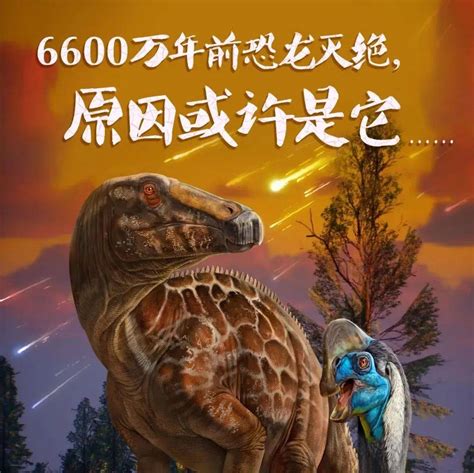 寻找最大的恐龙4：中华巨龙 - 知乎