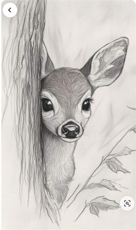 Pin by Anna Moczulski on Charcoal art | Pencil drawings of animals ...