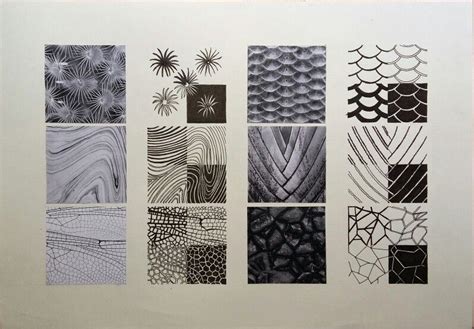 Image result for Patterns Using Shells