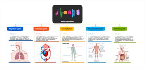 Biology Mind Map 的图像结果