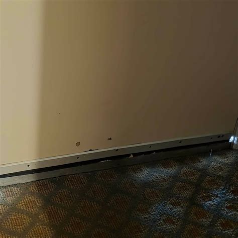 SUPER 8 BY WYNDHAM LETHBRIDGE (Alberta) - Hotel Reviews, Photos, Rate ...