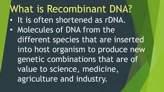 Define Recombinant 的图像结果