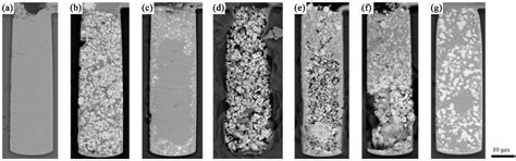 Fast Filling of Microvia by Pre-Settling Particles and Following Cu ...