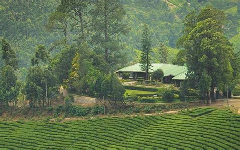 Tea Plantation Stays In South India - Tea Plantation Resorts in South ...