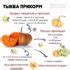 Прикорм тыква - Энциклопедия Детское питание