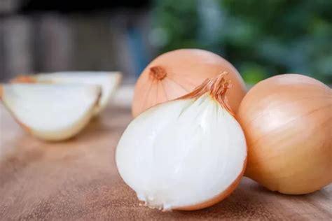 manfaat bawang bombai untuk rambut