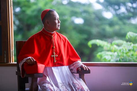Bestowal of Cardinal Advincula’s ‘Red Hat’, rescheduled - Roman ...