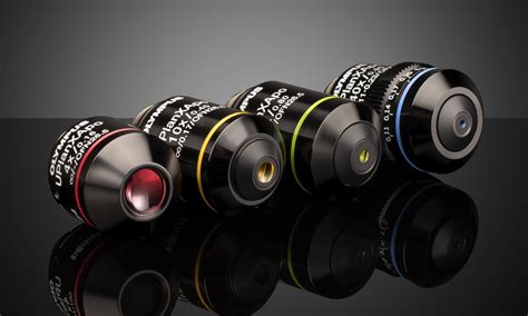 Multiphoton Microscopy | Edmund Optics