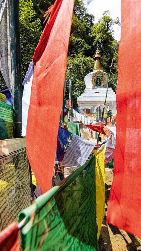 Trans Bhutan Trail Reopened After 60 Years; Here's What It Looks Like!