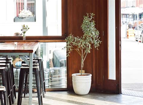 The Wolf Windsor | Modern Australian Pubs | Hidden City Secrets