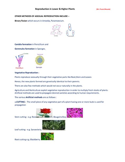 SOLUTION: 1 reproduction in lower higher plants 1 - Studypool