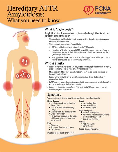 Hereditary Amyloidosis: What You Need to Know Fact Sheet – PCNA