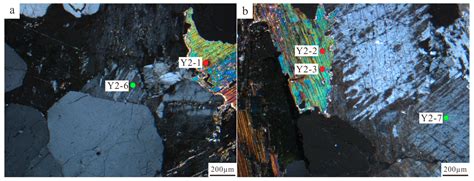 Age and Petrogenesis of the Dongjin Rare Metal Mineralized Intrusion in ...