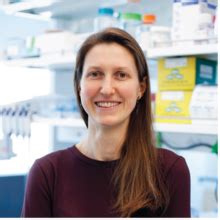 Charting the future of RNA and protein sequence-structure exploration ...