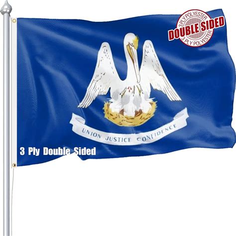 Amazon.com : Nuibers Louisiana Flag 3x5 FT Sturdy for Outside, Heavy ...