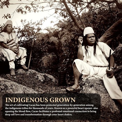 Origen Cacao Origen 100% Pure Ceremonial Cacao | 16 Oz Ceremonial India ...