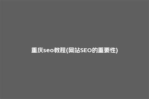 重庆seo教程(网站SEO的重要性)