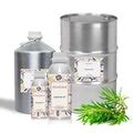 Buy Tea Tree Oil Online at Best Price in India | Tea Tree Bulk ...