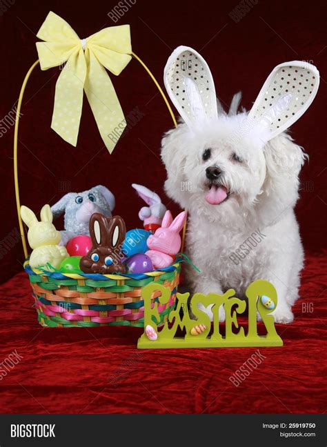 ภาพและภาพถ่าย (ทดลองใช้ฟรี) | Bigstock