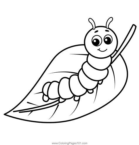 Cartoon Caterpillar Coloring Page Caterpillar Coloring Pages
