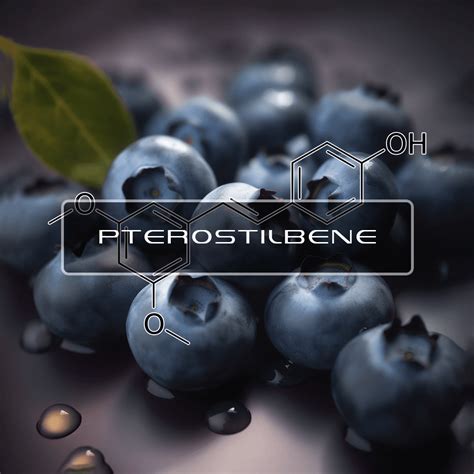 Benefits Of Pterostilbene | Interstellar Plan | Science Based Anti Aging Formulas