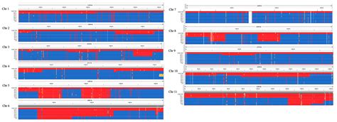 A Fusarium verticillioides MAT1-2 Strain near Isogenic to the Sequenced ...