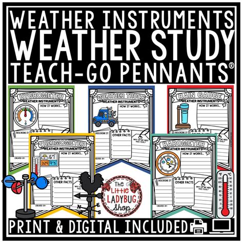 Image result for Easy Weather Instruments Projects