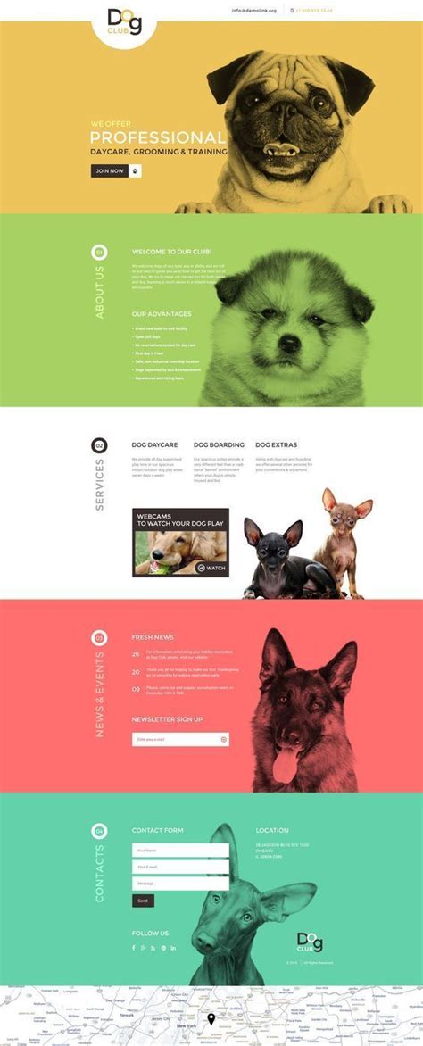 宠物类创意版式网页设计|宠物类|网页设计|版式_新浪新闻