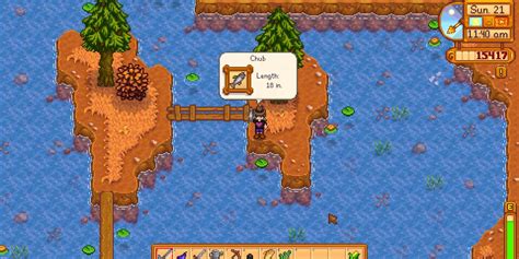 Stardew Valley: Best Fishing Spots