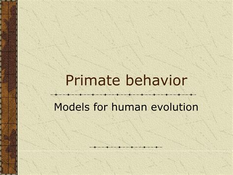 Primate Behavior 的图像结果