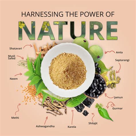Neem Karela Jamun Powder | Manage Your Blood Sugar | 200 gm – EK-TEK PHARMA