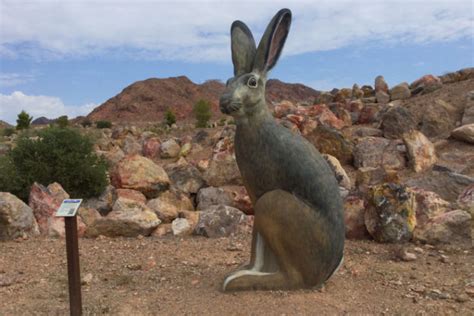 Nature Discovery Trail and Rock Garden, boulder, United States Of ...