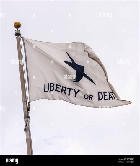 Texas Revolution flag, the Troutman Flag (Liberty or Death) at Lone ...