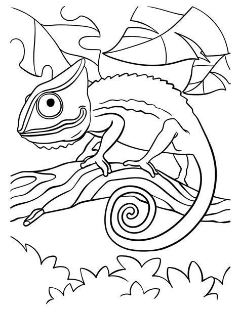 Chameleons coloring page for kids | Premium Vector