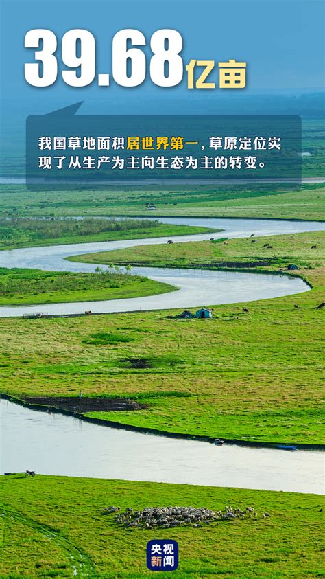 首个“全国生态日”来了！一组数据带你看美丽中国新画卷-国际在线
