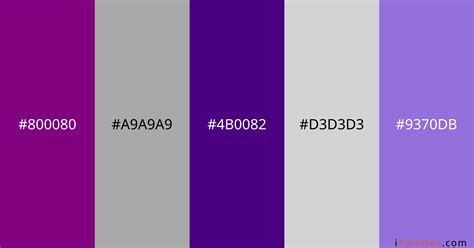 Purple grey Color Palette and colors #800080 #A9A9A9 #4B0082 #D3D3D3 ...