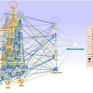 Connectivity Map 的图像结果