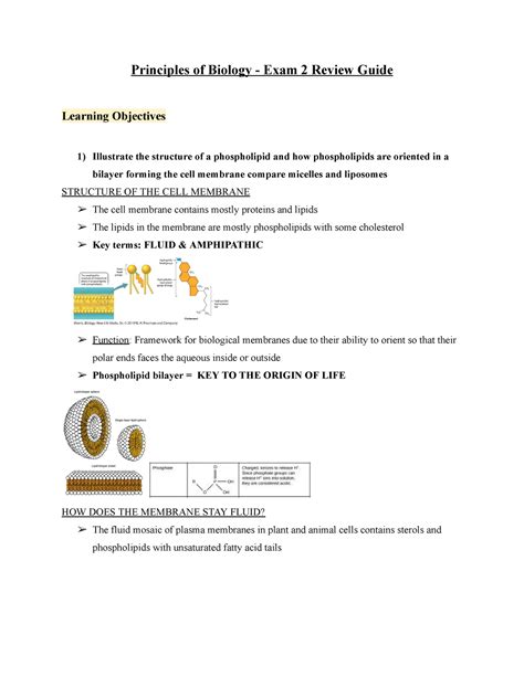 Exam 2 Review Guide - Principles of Biology - Exam 2 Review Guide ...