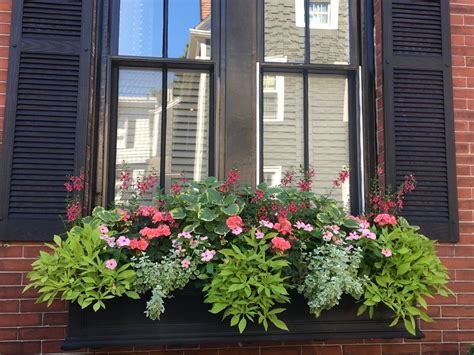 Window Box Planters Ikea at Christopher Hannan blog
