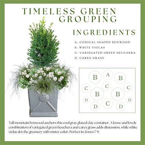 Cozy Cold-Weather Container Collection — Carmen Johnston Gardens