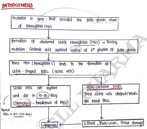 Pathophysiology Unit 3 Notes - 2nd Semester B Pharmacy | Carewell Pharma