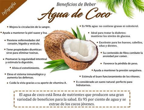 Propiedades, valores nutricionales y recetas con agua de coco