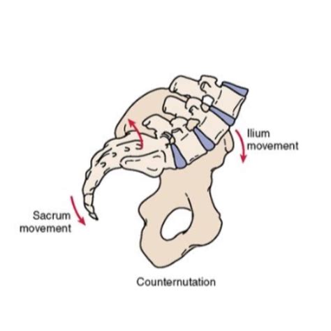 Three Reasons Why Knee Valgus Occurs During a Squat