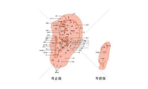 Prime Number Code Python 的图像结果
