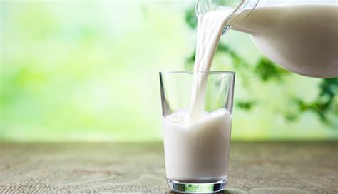 5 Reasons Why Raw Milk is Good for Health - lifeberrys.com