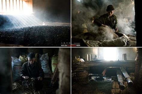 榨油,老式全木榨油坊,榨油坊宣传单(第12页)_大山谷图库