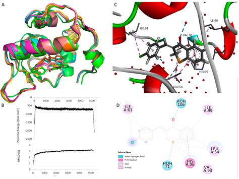Structure–Activity Relationship Studies of Chalcones and ...
