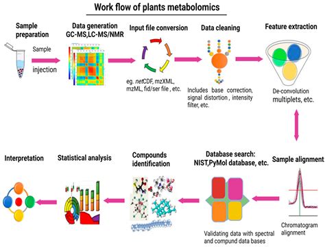 Plant Metabolomics: An Overview of the Role of Primary and Secondary Metabolites against ...