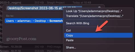Image result for Copy Image File Path