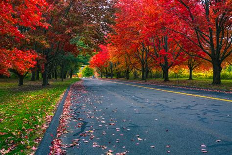 Image result for Autumn Homework EYFS